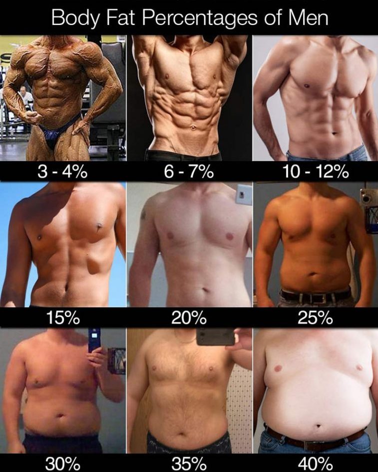 body-fat-percentage-men-759x1024
