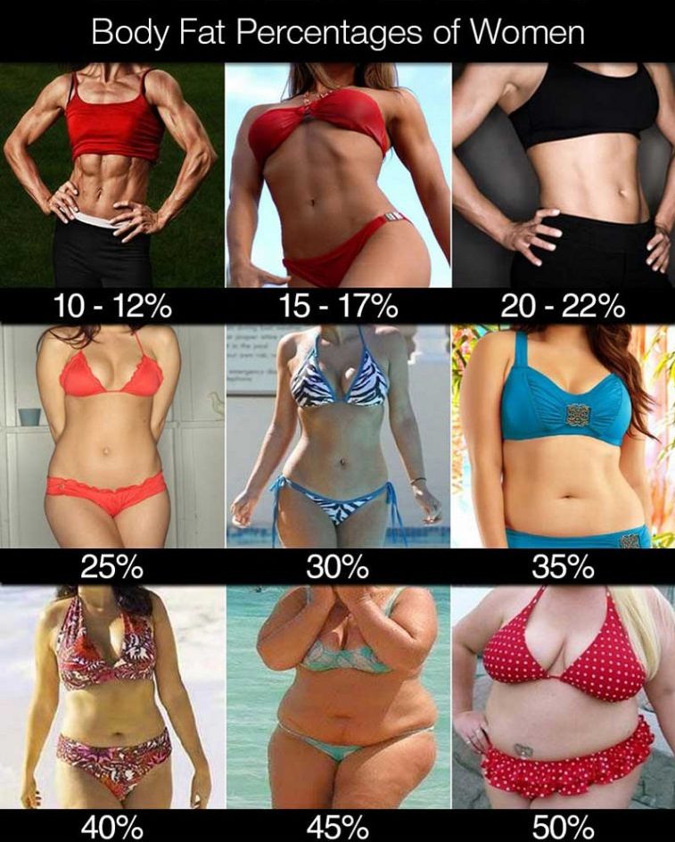 body-fat-percentage-women-759x1024
